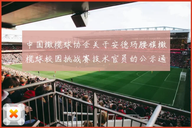 中国橄榄球协会关于安德玛腰旗橄榄球校园挑战赛技术官员的公示通知