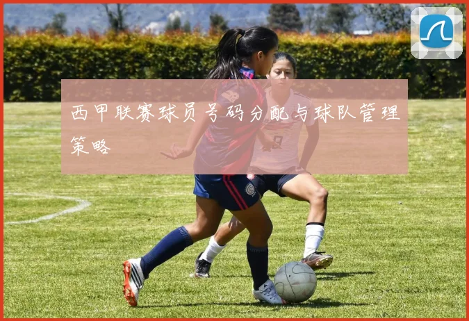 西甲联赛球员号码分配与球队管理策略